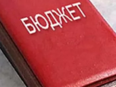 Собственные доходы бюджета составили 81.1 млн. рублей.