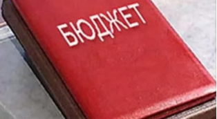 Собственные доходы бюджета составили 137,1 млн. рублей.