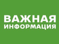 Самозанятые могут оформить больничный.
