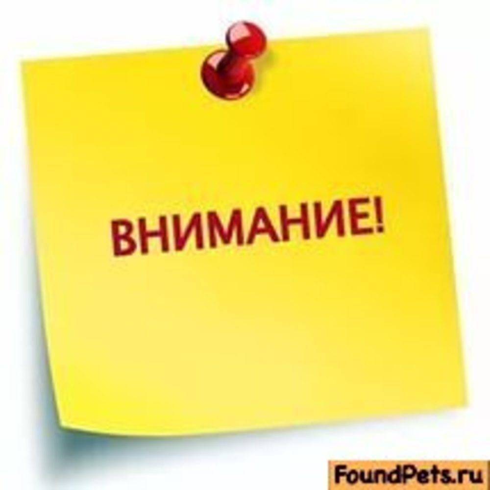 Объявлен конкурс предпринимательских проектов "Новая волна".